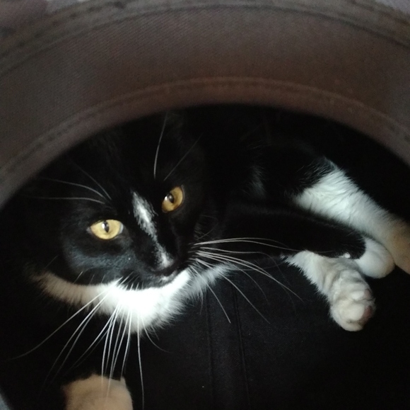 Meet your Posher, Angela - Picture 4 of 4